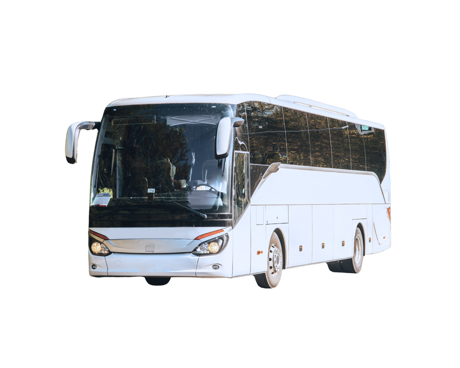 Luxury Motor Coach